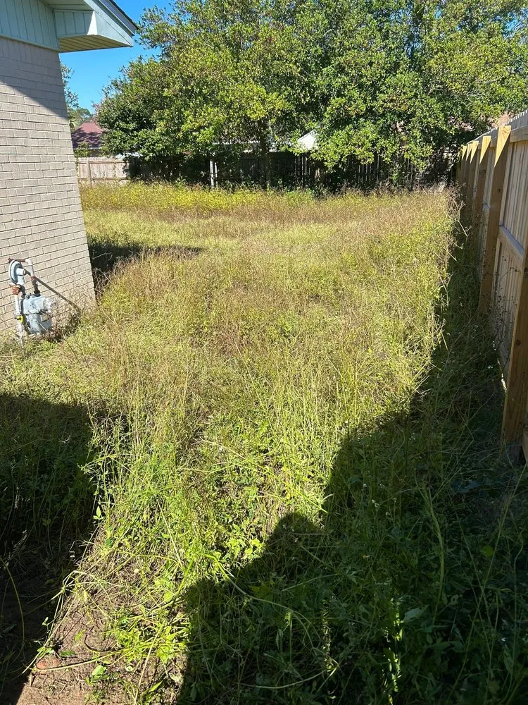 Affordable landscape installation experts serving Milton, FL - Patriot Landscaping