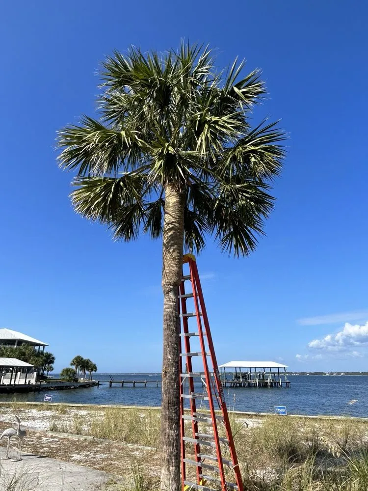 Professional yard maintenance in Milton, FL by Patriot Landscaping