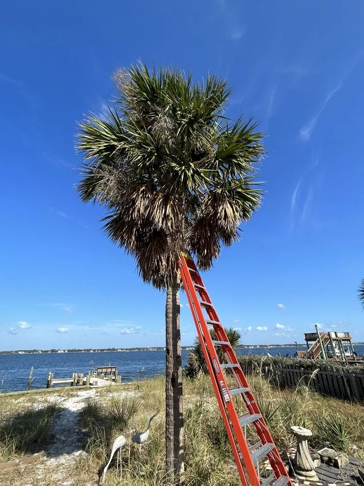 Expert lawn care service for outdoor upgrades across Milton, FL - Patriot Landscaping