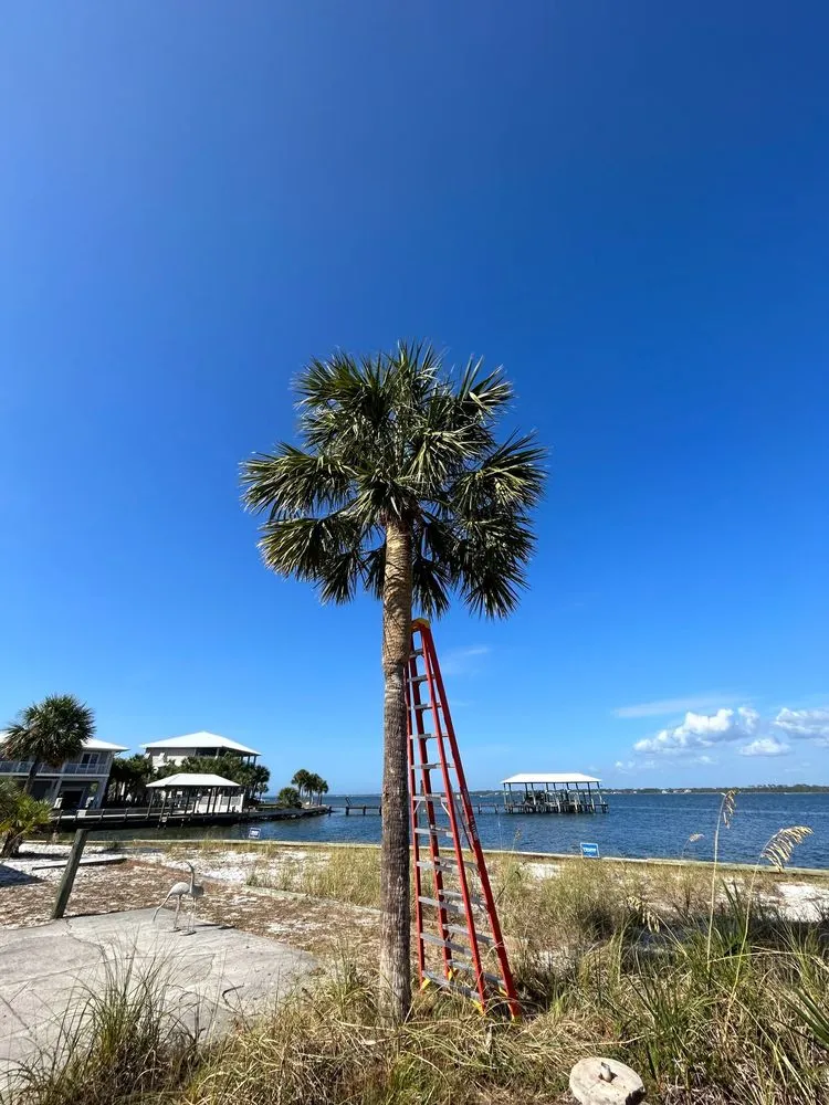 Professional yard maintenance in Milton, FL by Patriot Landscaping