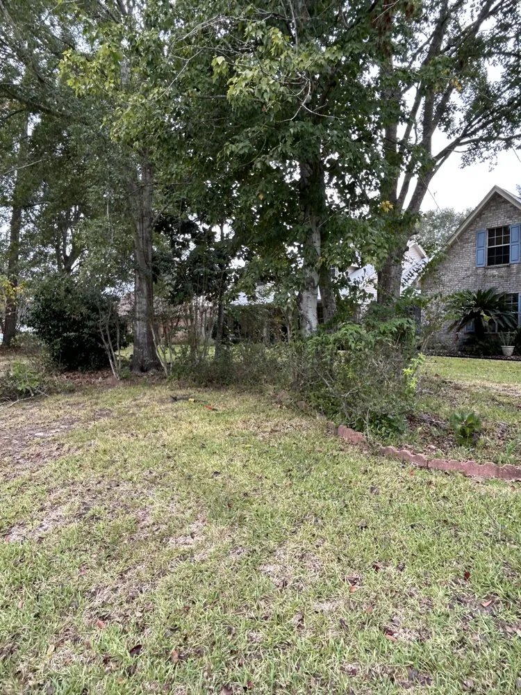 Affordable residential landscaping near you in Milton, FL by Patriot Landscaping