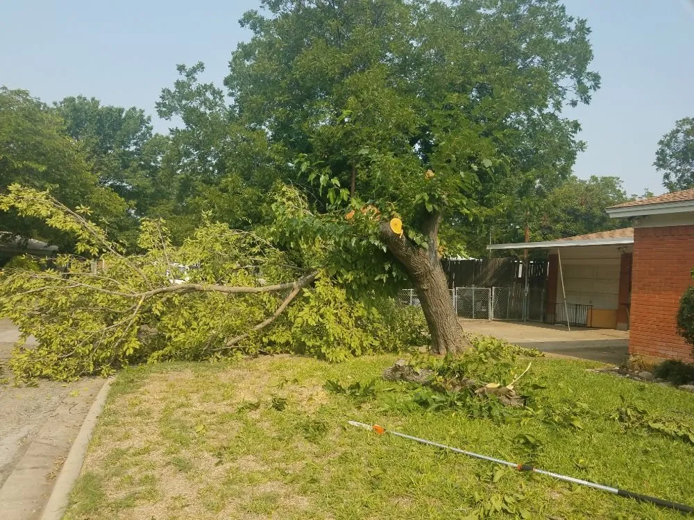 Custom landscape design for outdoor upgrades across North Richland Hills, TX - Patriot Landscaping