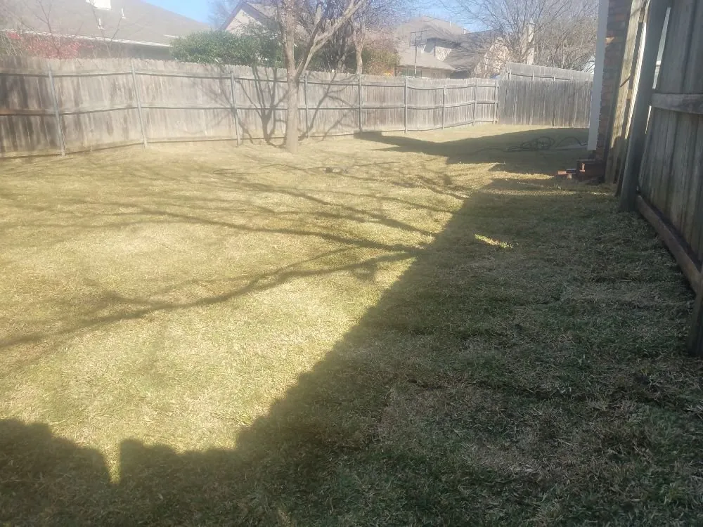 Top-rated garden landscaping for year-round maintenance across North Richland Hills, TX - Patriot Landscaping