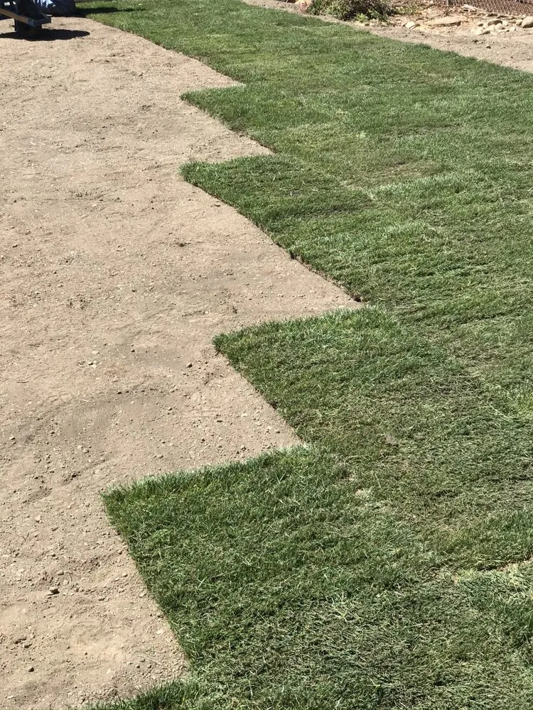 Top-rated landscaping services in Spanaway, WA - Patriot Landscaping