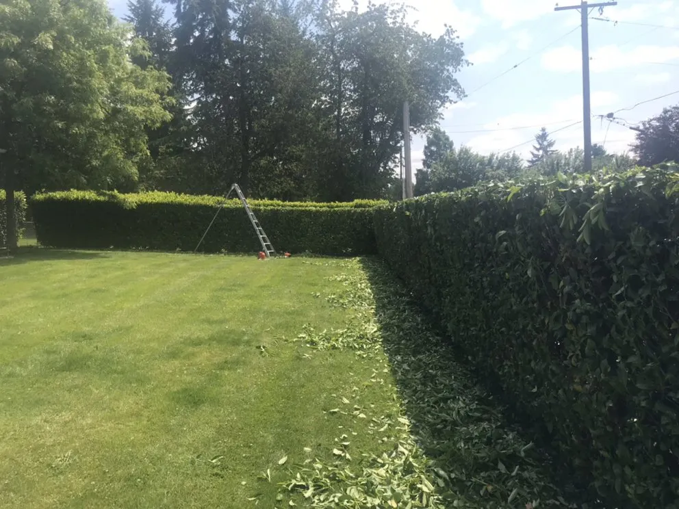 Top-rated landscape design in Spanaway, WA by Patriot Landscaping