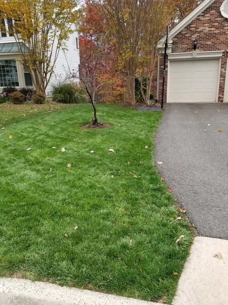 Trusted residential landscaping in Manassas, VA by Patriot Lawn and Landscape