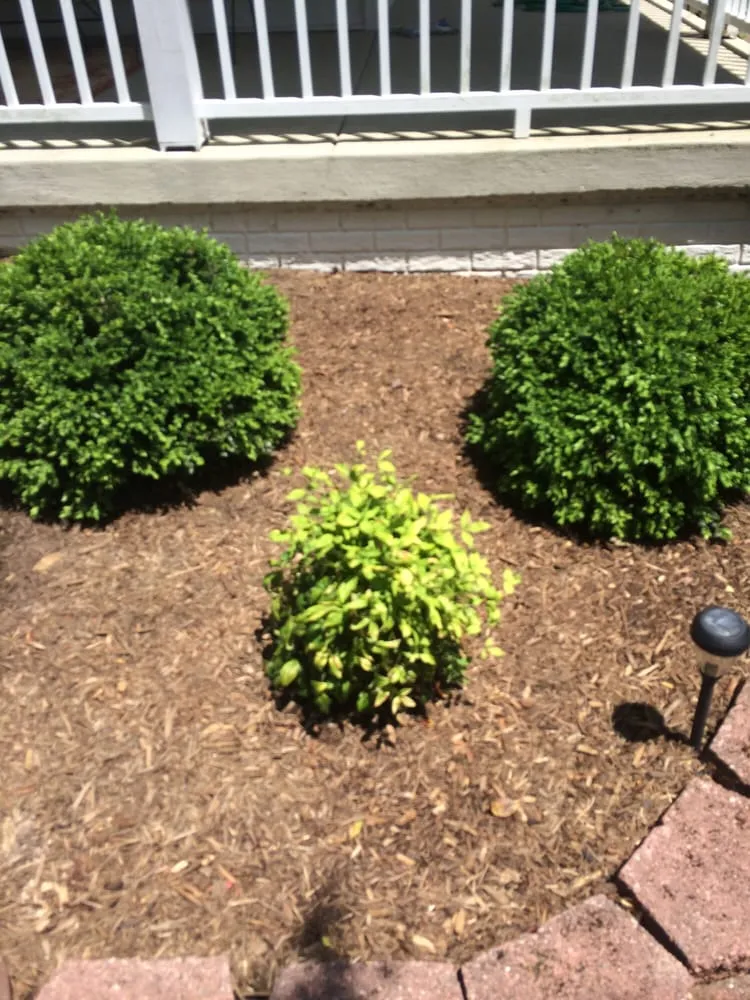Trusted yard maintenance in Manassas, VA by Patriot Lawn and Landscape