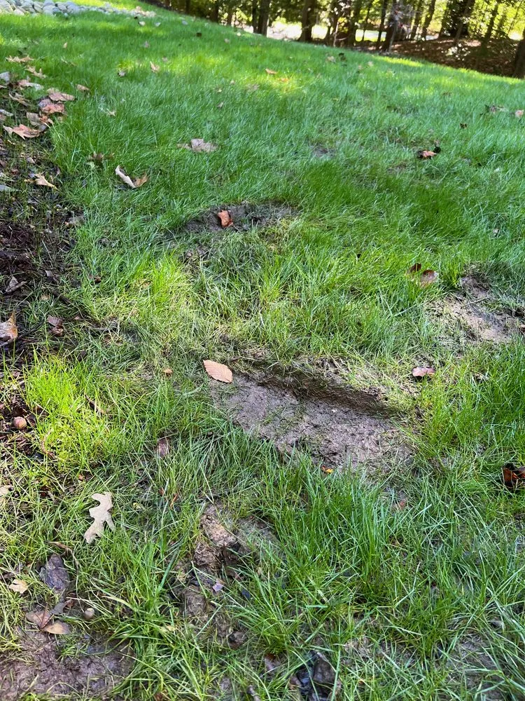 Reliable landscape design experts serving Manassas, VA - Patriot Lawn and Landscape