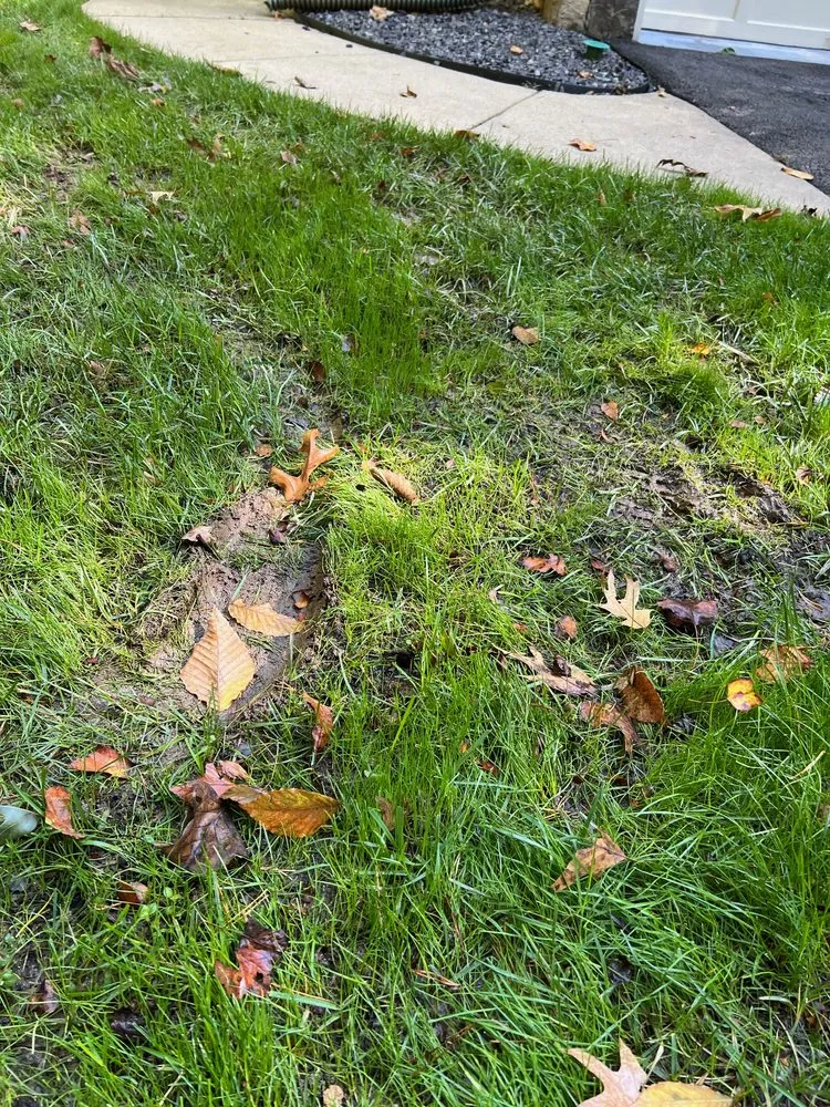 Professional lawn mowing service in Manassas, VA - Patriot Lawn and Landscape