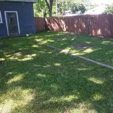 Expert yard cleanup service experts serving Dickinson, TX - Patriot Lawn And Landscaping