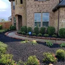 Expert lawn care service in Dickinson, TX by Patriot Lawn And Landscaping