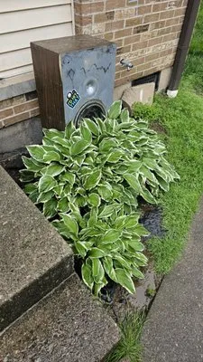 Patriot Lawn And Landscaping