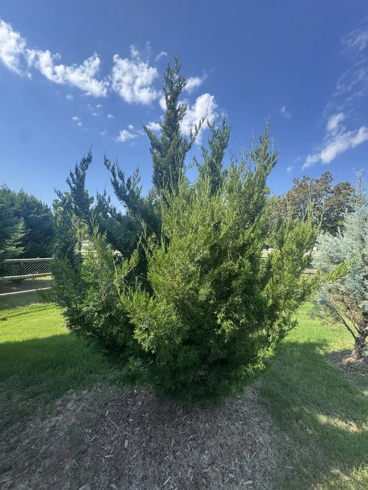 Expert landscape design in Owasso, OK - Patriot Lawn and Pest