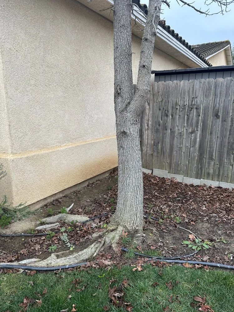 Local landscape installation in Santa Maria, CA - Patriot Lawn Care and Handyman Services