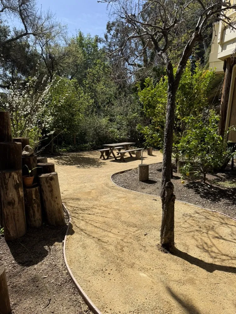 Expert yard maintenance experts serving Santa Maria, CA - Patriot Lawn Care and Handyman Services