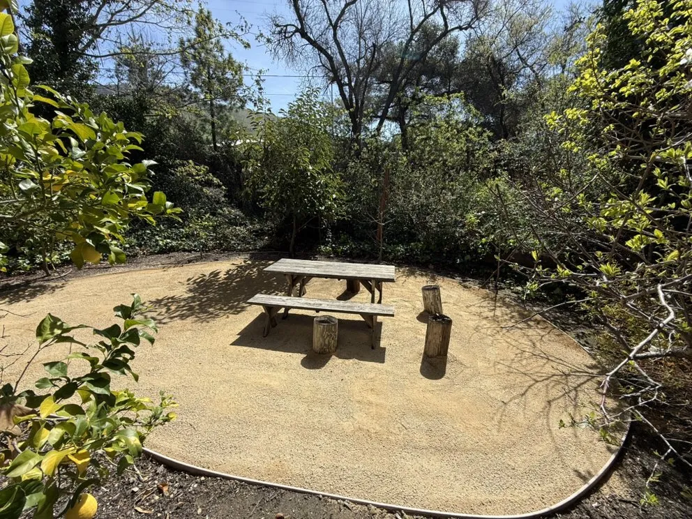 Reliable landscape design in Santa Maria, CA by Patriot Lawn Care and Handyman Services