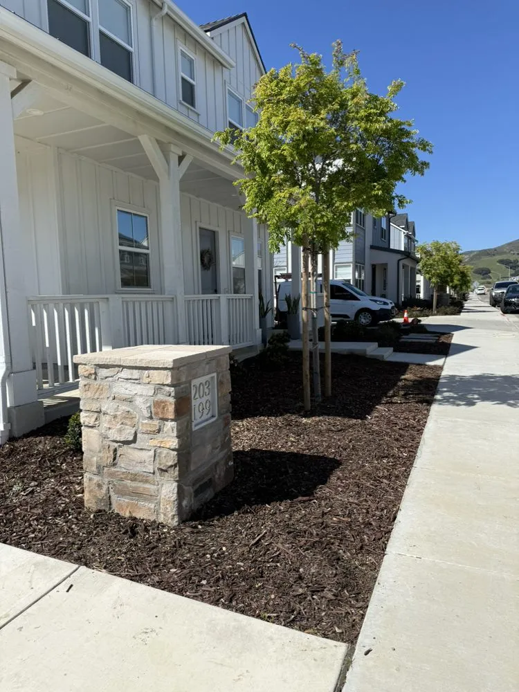 Affordable landscaping services experts serving Santa Maria, CA - Patriot Lawn Care and Handyman Services