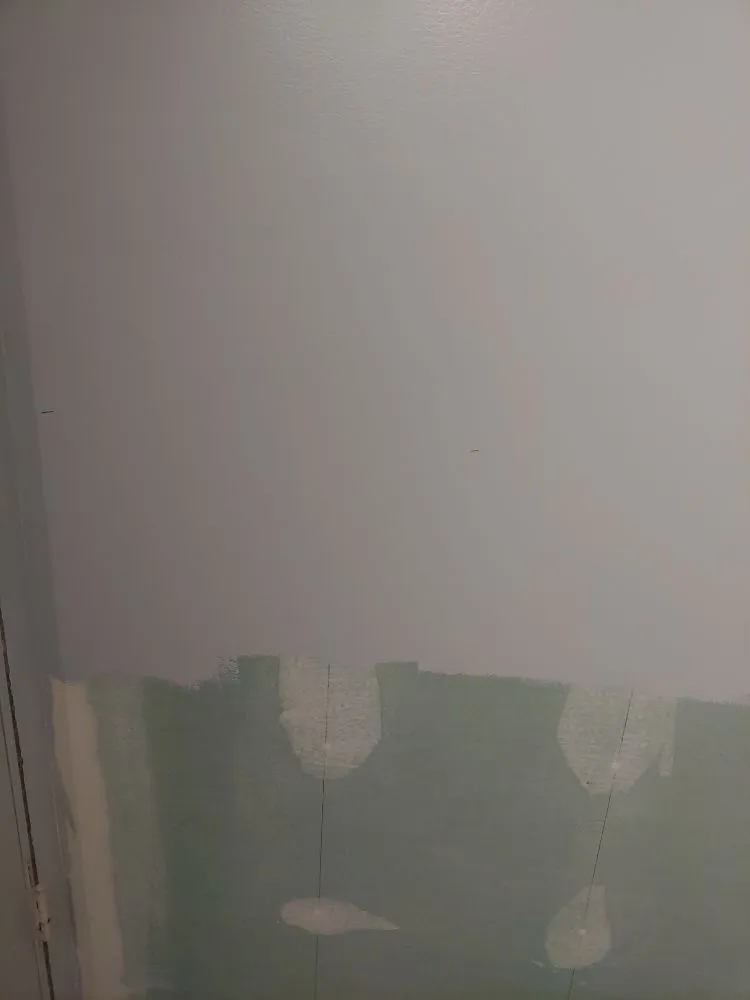 Expert yard cleanup service for year-round maintenance across Belleair Bluffs, FL - Patriot Lawn Care and Home Maintenance