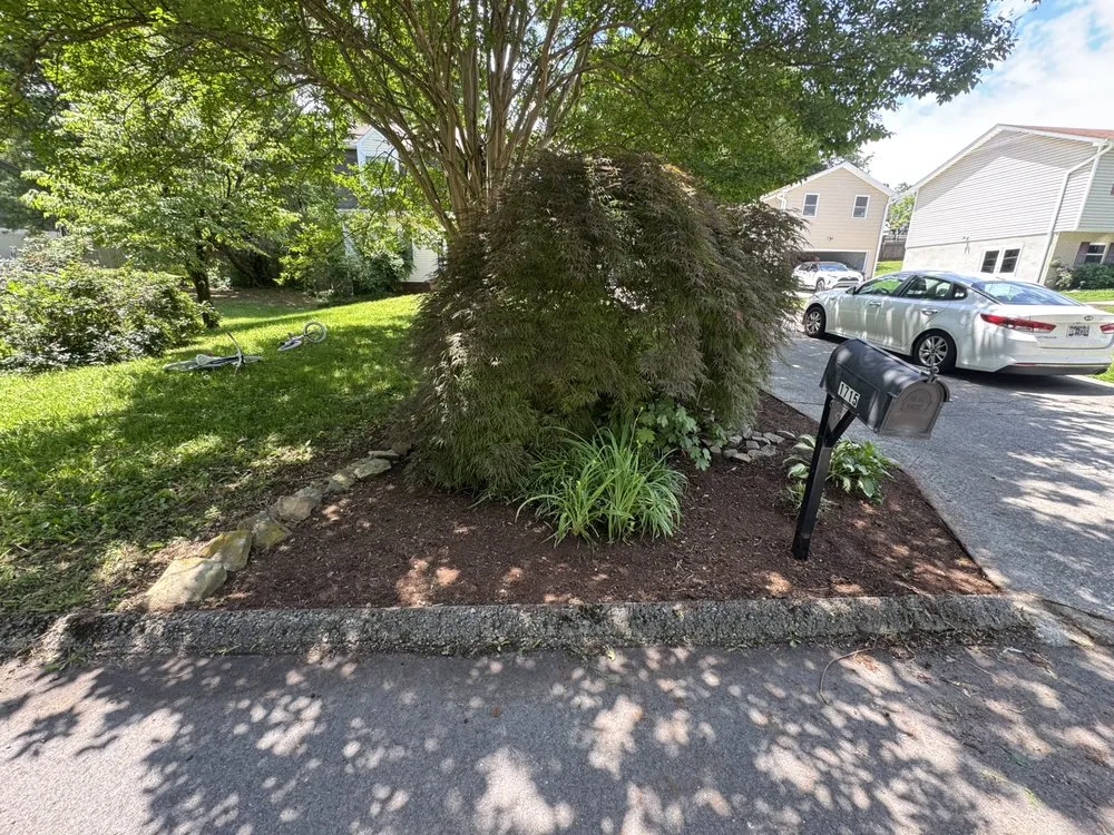 Professional landscape installation in Knoxville, TN - Patriot Lawn Care