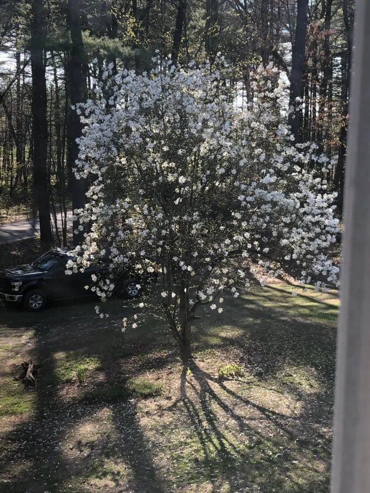 Affordable landscape installation for year-round maintenance across Lancaster, MA - Patriot Lawn Care