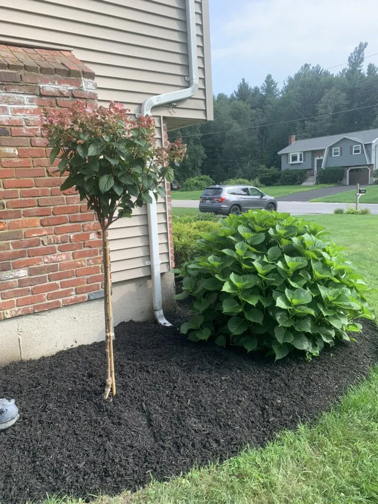 Trusted yard maintenance in Lancaster, MA by Patriot Lawn Care