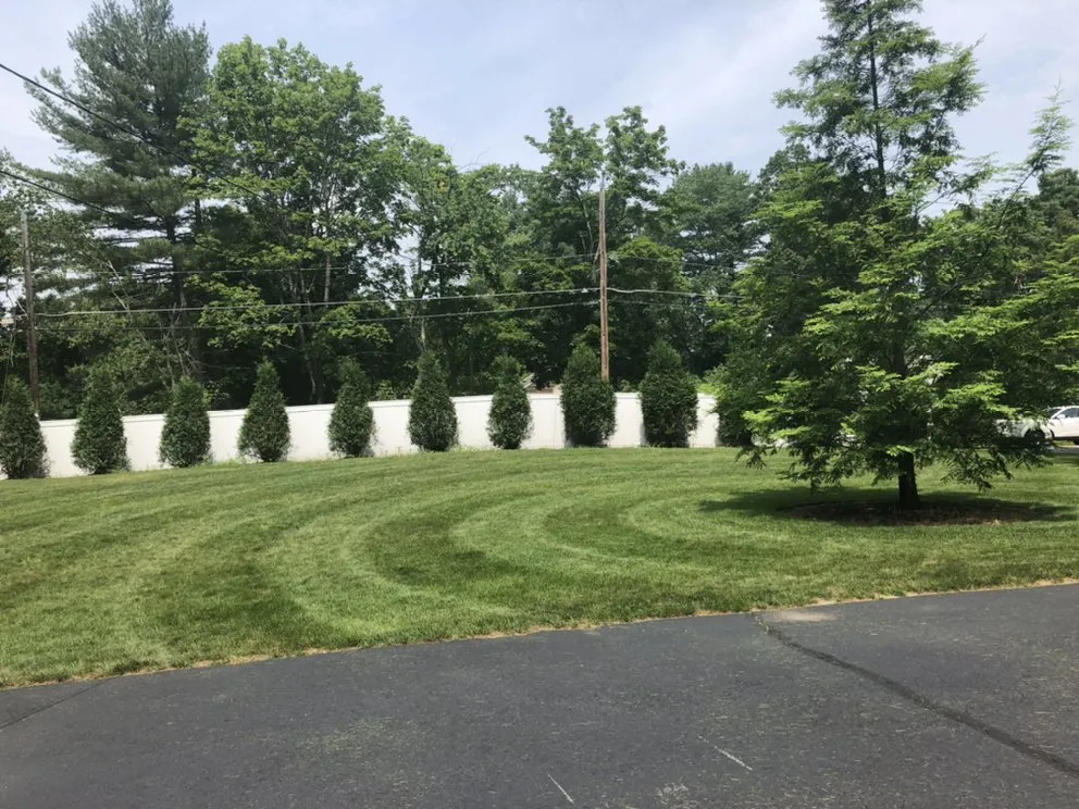 Expert yard cleanup service in Lancaster, MA by Patriot Lawn Care