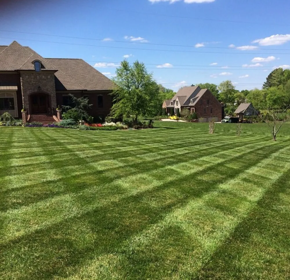 Trusted yard cleanup service in Spring Hill, TN by Patriot Lawn Care LLC