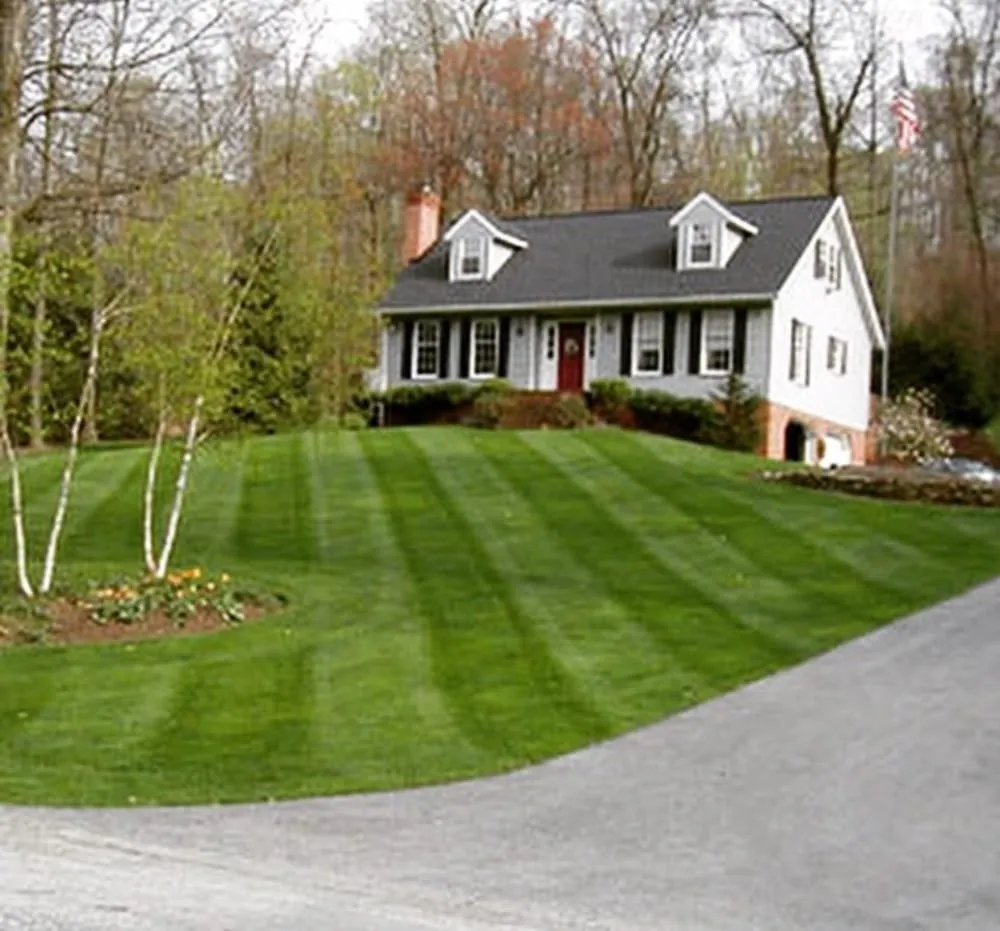 Local yard maintenance in Spring Hill, TN - Patriot Lawn Care LLC