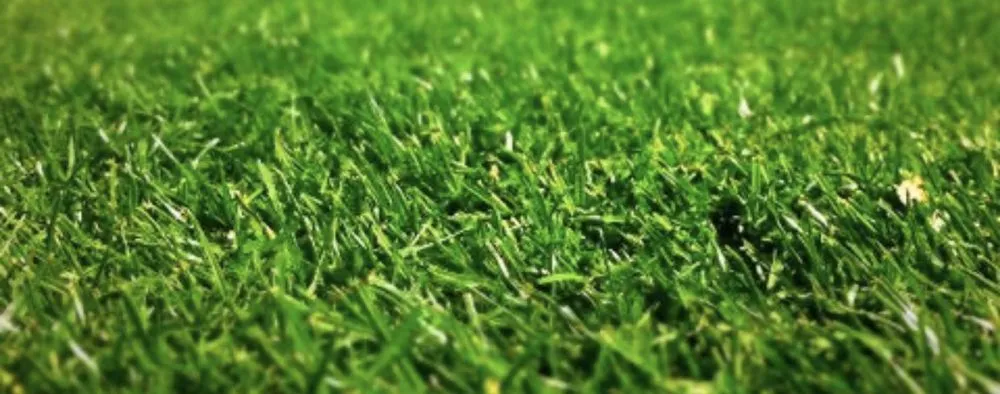 Reliable landscape design for residential properties across Prattville, AL - Patriot Lawn Care