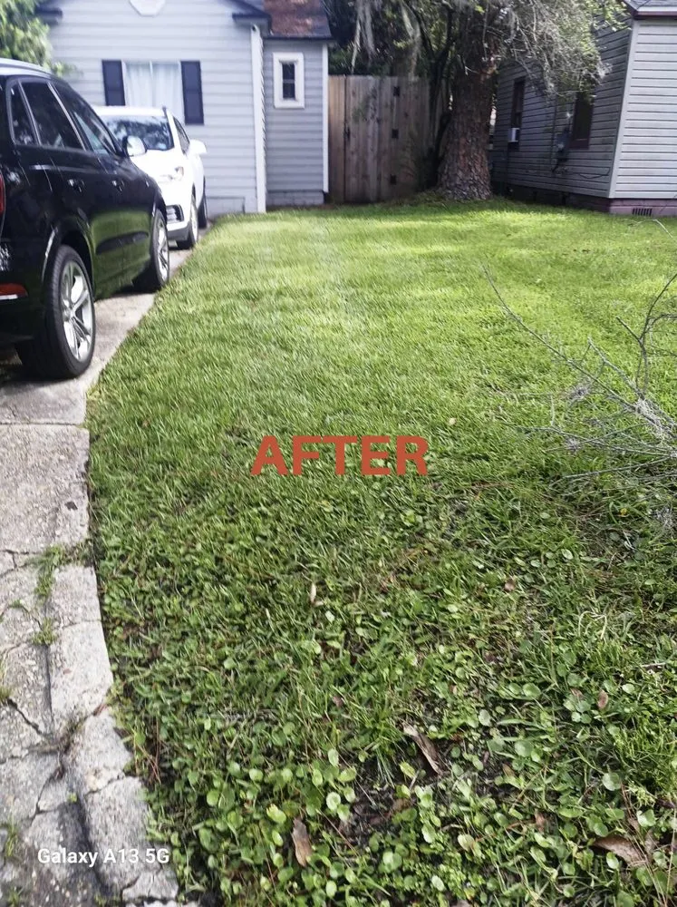Affordable landscaping services in Jacksonville, FL - Patriot Lawn Care Services