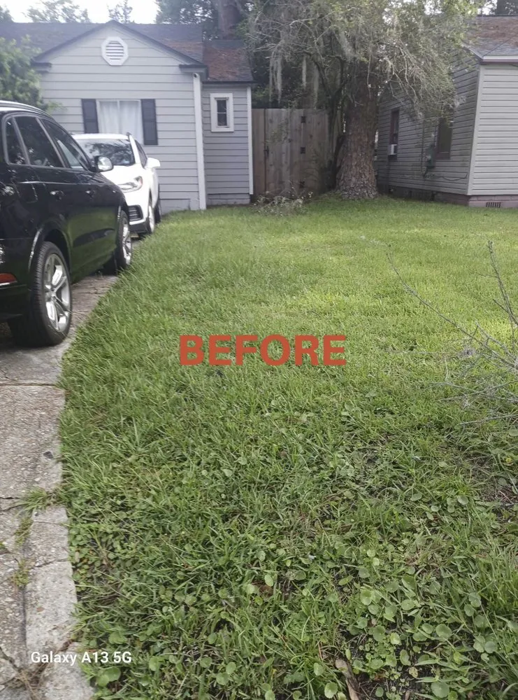 Reliable yard maintenance for beautiful yards in Jacksonville, FL by Patriot Lawn Care Services