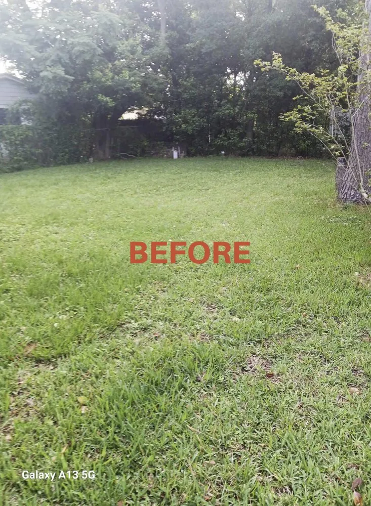 Reliable landscaping services in Jacksonville, FL by Patriot Lawn Care Services