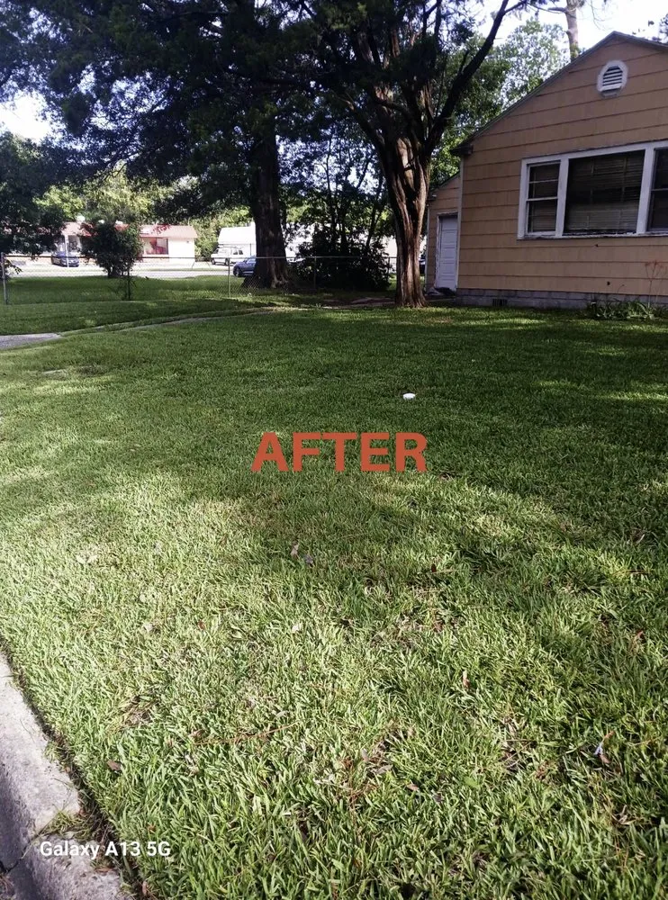 Trusted residential landscaping for homes in Jacksonville, FL by Patriot Lawn Care Services