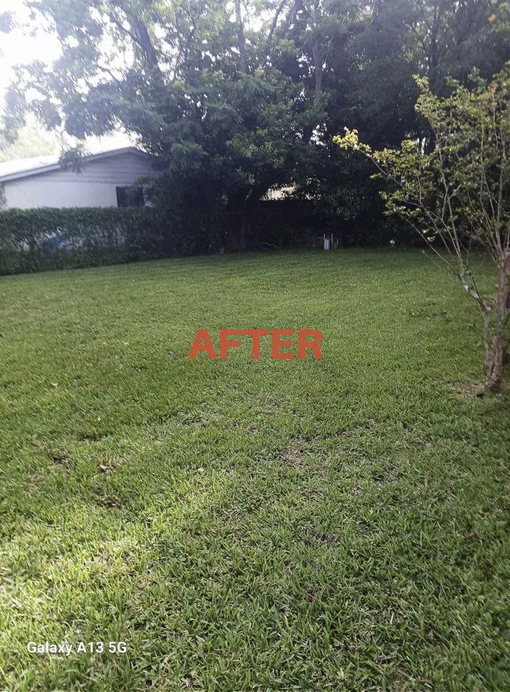 Top-rated lawn mowing service near you across Jacksonville, FL - Patriot Lawn Care Services