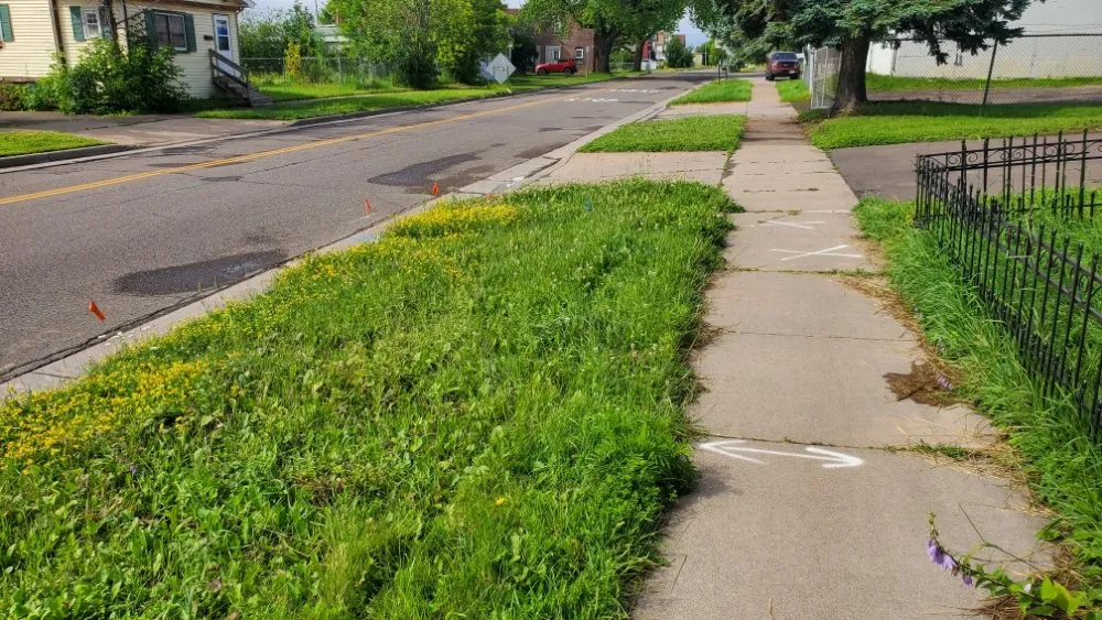 Professional lawn care service in Superior, WI by Patriot Lawn Care.