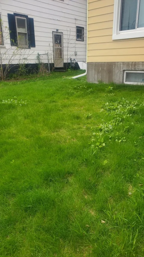 Reliable landscape installation with custom design in Superior, WI by Patriot Lawn Care.