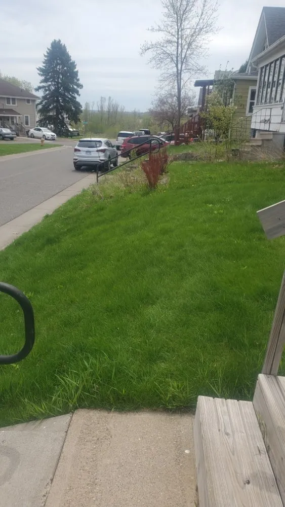 Expert lawn care service in Superior, WI by Patriot Lawn Care.