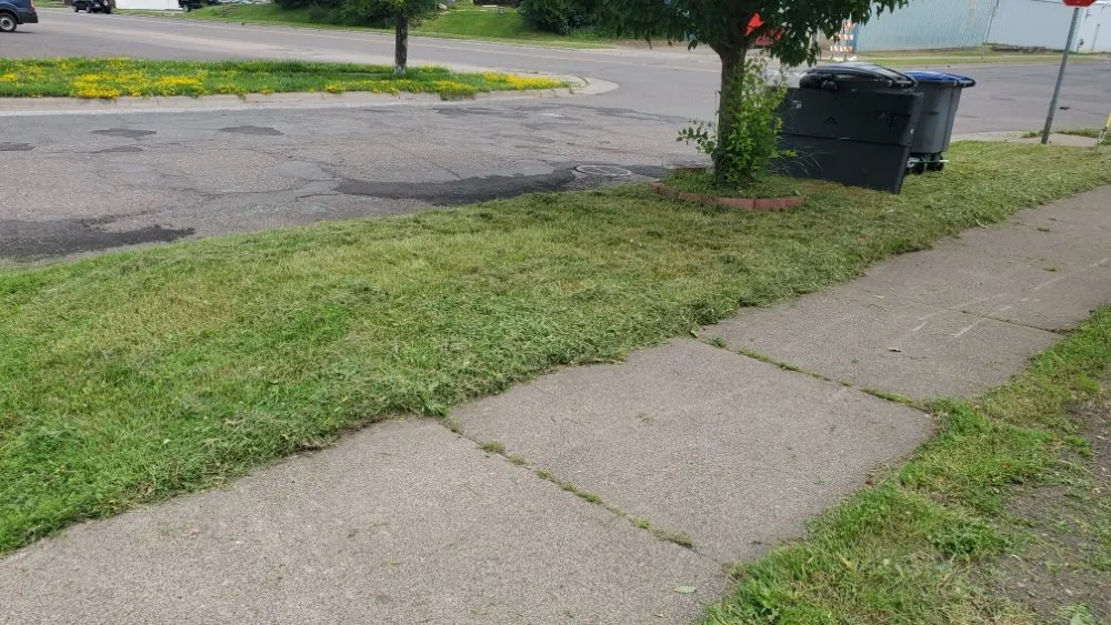 Reliable landscape design for beautiful yards across Superior, WI - Patriot Lawn Care.