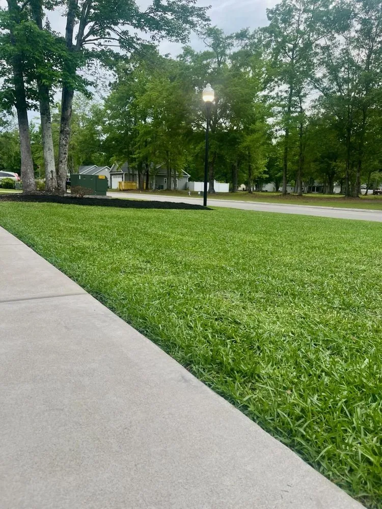 Reliable yard maintenance in Ocean Isle Beach, NC by Patriot Lawn