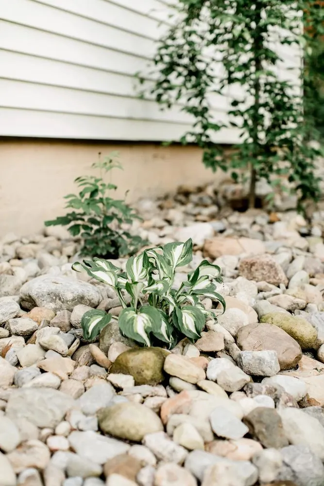 Affordable lawn care service for year-round maintenance in Prince Frederick, MD by Patriot Lawn Service