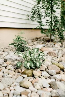 Patriot Lawn Service