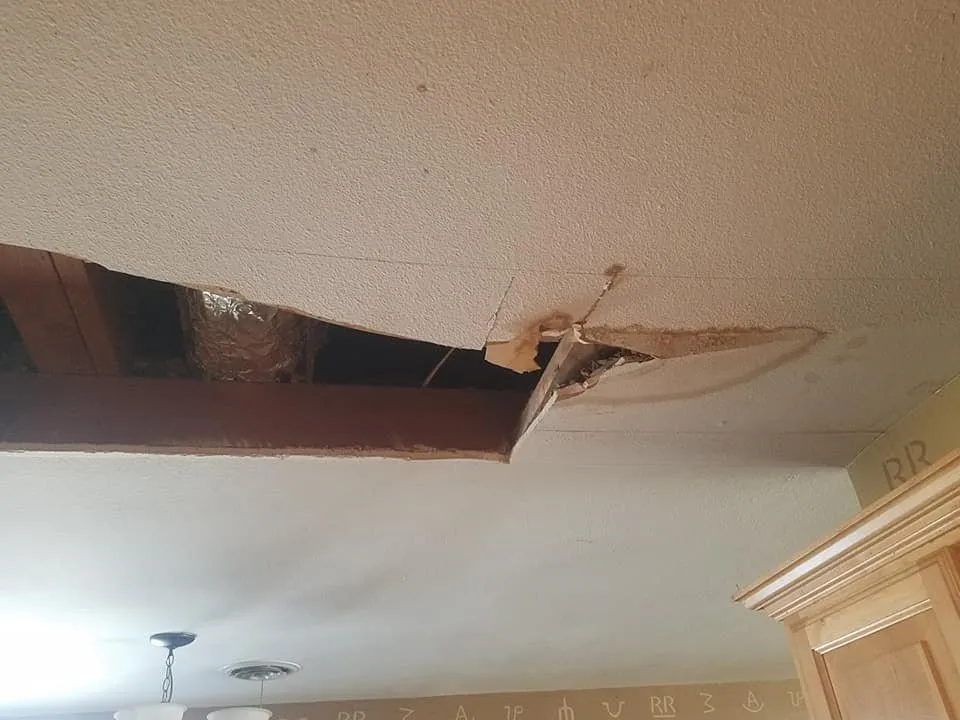 Trusted lawn mowing service in Wichita Falls, TX - Patriot Lawn Tree Care