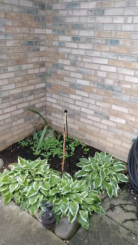 Reliable garden landscaping in Sevierville, TN by Patriot Lawncare and Landscaping