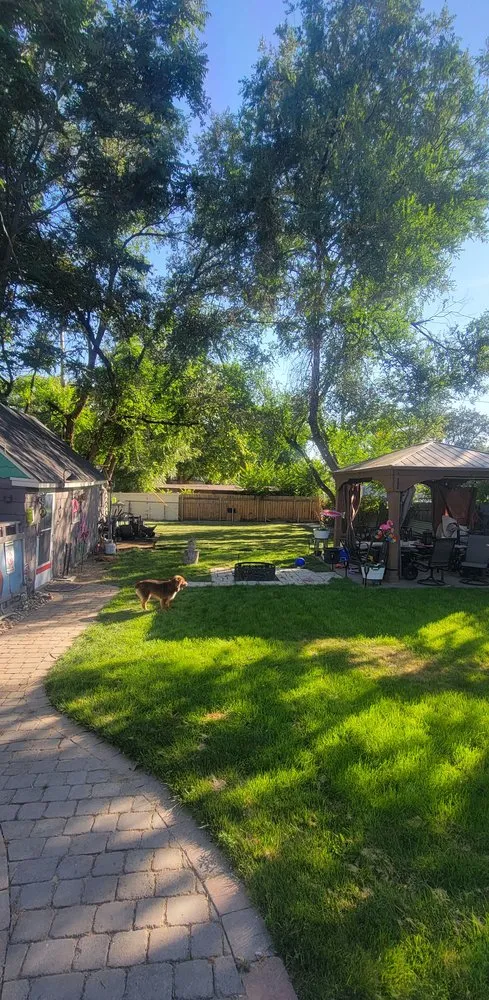 Custom yard maintenance for homes across Nampa, ID - Patriot Lawns