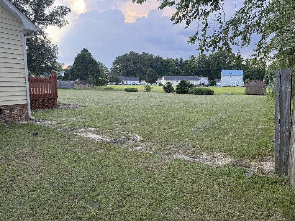 Affordable residential landscaping in Richlands, NC by Patriot Lawns