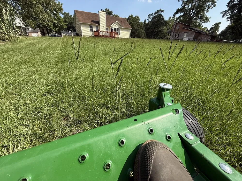 Expert yard cleanup service experts serving Richlands, NC - Patriot Lawns