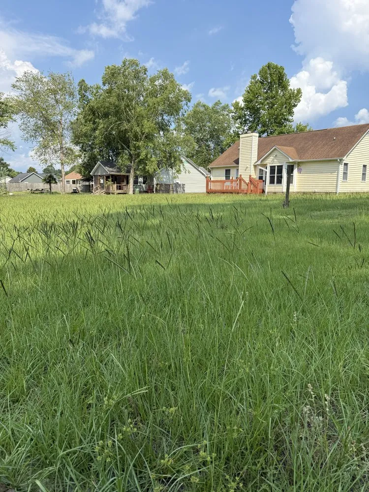 Local yard maintenance in Richlands, NC - Patriot Lawns