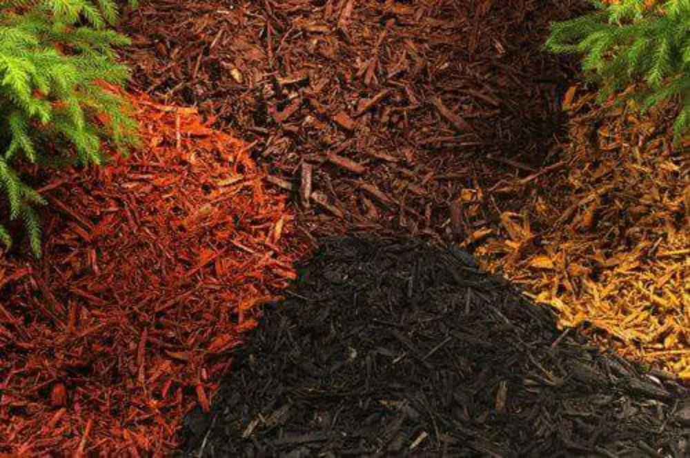 Trusted landscaping services for outdoor upgrades across Sarasota, FL - Patriot Lawns