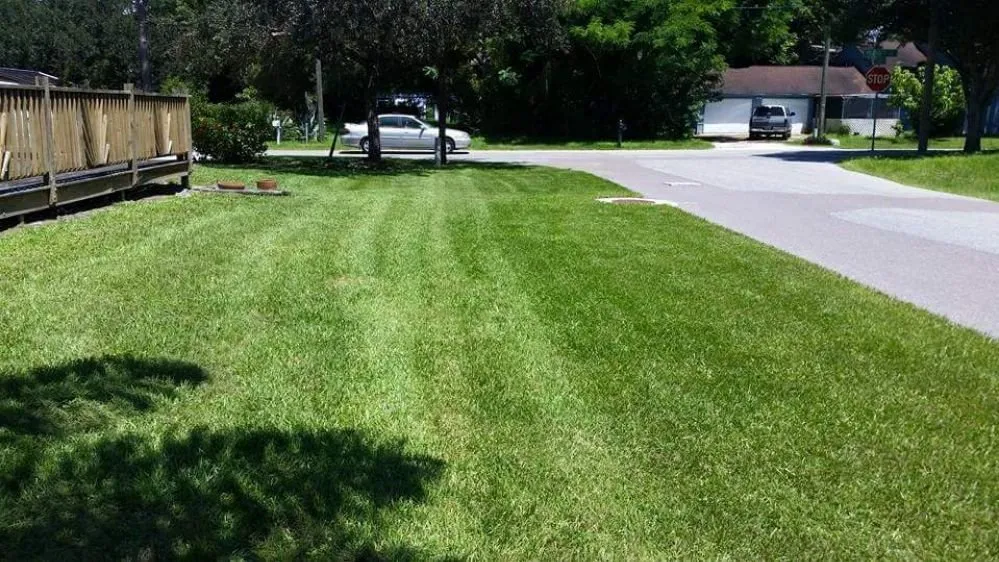 Custom residential landscaping in Sarasota, FL - Patriot Lawns