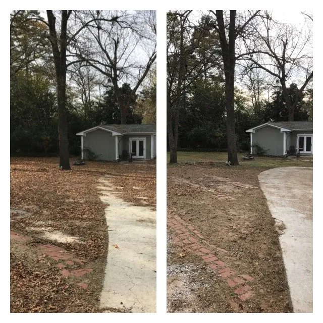 Local yard maintenance for beautiful yards across Martinez, GA - Patriot Mowing